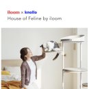 이박사동물병원 | 놀로스퀘어 고양이층 방문했어요! 일룸 캐스터네츠 쇼룸, VIP고양이센터, 원데이 클래스