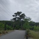 태양조경