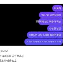 털보다방 | 25년 11월 3주차