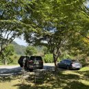 까미노데플로레스타2 이미지