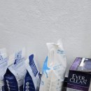 고양이 벤토나이트 모래 세가지 사용후기 (포우장/에버크린/ㅁㅊ모래)