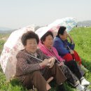 싱싱투어 이미지