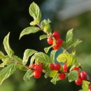 대림동 성당 내 이미지