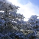 관음사 입구 이미지