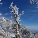 40-12 지리산천왕봉 눈꽃산행(중산리~백무동)(1월18일) 이미지