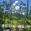 한가족펜션 이미지