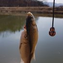 자인대물낚시 이미지