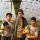 영민하우스 이미지