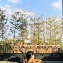 스테이 잔다 이미지