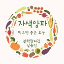 개인화물664 | [블랙멀티짐길음점] 자색양파/ 일반 양파와 다른데 효능도 다를까?/길음동헬스장/길음동PT