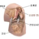 세중한의원 국제도시점 네이버블로그