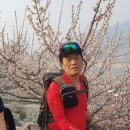 좋은아침 이미지