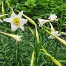 칠포농장 이미지