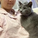 쌍둥이 가원양꼬치 | 231015~21 🥱 컨디션이 별로인 10월의 일상 3 (마라샹궈, 마키노차야, 가원양꼬치)