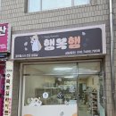 부산햄스터분양 행복햄 | 부산햄스터분양 행복햄 — 골든햄스터 전문샵에서 만난 귀여움 폭발했답니다 🐹