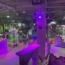 전주시견인차량보관소 이미지