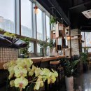 세븐오락실 이미지