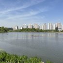 신장쇼핑몰관광안내소 이미지