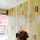 통영반려견 셀프목욕탕 이미지