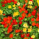 호수공원14로 이미지