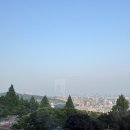 The 호떡 | 하얏트 서울 뷔페 더 테라스 평일 생참치 스페셜 디너 후기 - Picture of The Terrace, Grand Hyatt Seoul