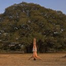 가족요가B 이미지