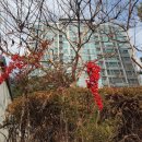 파밀리에정원공인중개사사무소 이미지