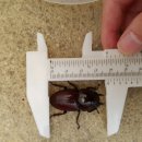 충우농장 이미지