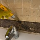 하이빌디테일링 이미지