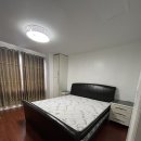 Beautiful room available on October 15 in Downtown Eastyork 이미지