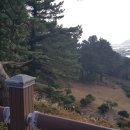 생이소리 이미지