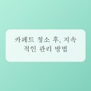 (주)씨엠 매일정기점 | 카페트 위생, 전문적인가의 손길이 필요한 숨겨진 이유들