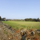 구억공인중개사사무소 이미지