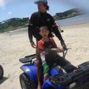 대명체육관 이미지