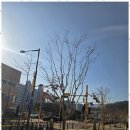 오포더샵선한공인중개사사무소 이미지