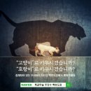 백호도장 네이버블로그