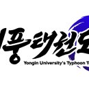 용인대 태풍 태권도장 이미지