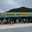 화순 도곡 여름 핫플 찰옥수수 맛집 캄보디아 아줌마 옥수수 주말웨이팅후기