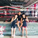 DEE GYM | 순천 일기일회 킥복싱 주짓수 무에타이 체육관 태국 푸켓 시합 후기