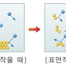 새움한의원 이미지