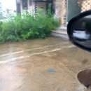 적쇠한상불고기가경점 이미지