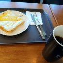 하이베라스 이미지