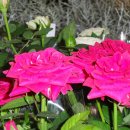 지하상가A 이미지