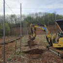 미니미니호계 이미지