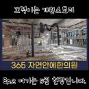 365자연안에한의원 이미지