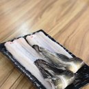 금빛장어 이미지