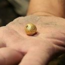 테일러 프리즘과 성경의 역사성 증명 이미지