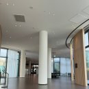 스테이다정 | 제주 공항 근처 오션뷰 호텔 추천/ 신라스테이 플러스 이호테우 숙박 후기 /태교 여행 기록 ♡