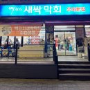 전주역 근처 로컬맛집 전현무계획 백김치새싹막회
