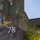 파인비치사우나 | 강릉 라카이 샌드파인 수영장 후기 실내수영장 사우나 이용시간 가격